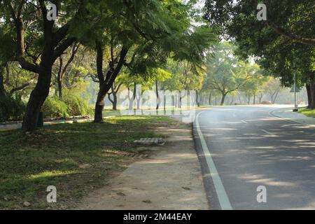 Curvy road surrounded by green trees inside tropical rainforest area. Stock Photo