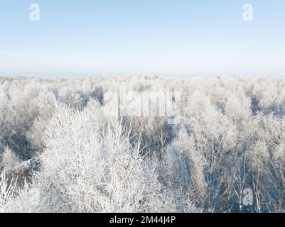 Forest in snow. Snowy forest road. Forest road from above Stock Photo