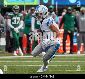 Buffalo Bills safety Damar Hamlin (3) during the second half of an NFL  football game against the Cleveland Browns, Sunday, Nov. 20, 2022, in  Detroit. (AP Photo/Duane Burleson Stock Photo - Alamy