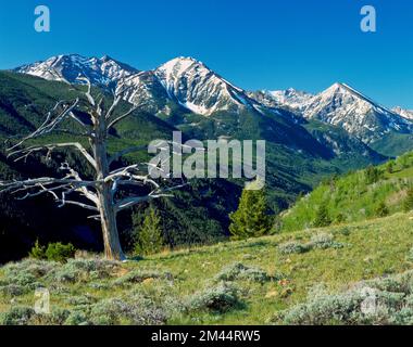 spanish peaks of the madison range above south fork spanish creek valley in the lee metcalf wilderness near big sky, montana Stock Photo