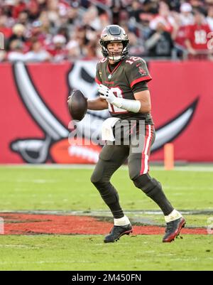 Tampa, United States. 18th Dec, 2022. Cincinnati Bengals quarterback Joe  Burrow passes against the Tampa Bay Buccaneers during the first half at  Raymond James Stadium in Tampa, Florida on Sunday, December 18