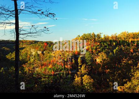 Autumn colors come alive along a mountain ridge line during a sunny fall day in the forest Stock Photo