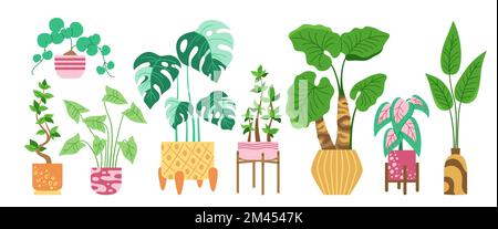 House potted plant, decorative cartoon set. Exotic houseplants flowerpot for interior. Botanical house indoor blooming plants in pot, monstera, modern potted ceramic. Isolated flat jungle vector Stock Vector