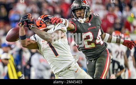 Tampa Bay Buccaneers cornerback Carlton Davis (24) lines up during a NFL  divisional playoff football game between the Los Angeles Rams and Tampa Bay  Buccaneers, Sunday, January 23, 2022 in Tampa, Fla. (