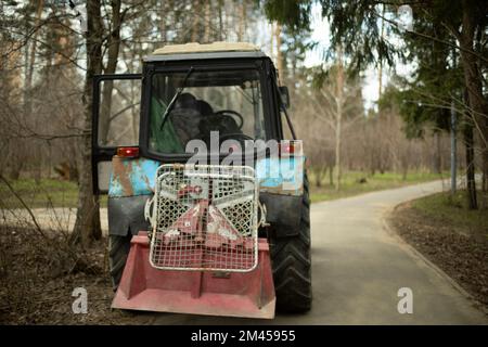 Harvesting equipment in park. Heavy technical with large wheels. Soviet tractor. Stock Photo