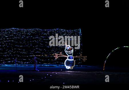 Colorful Christmas decorations LED strip lights against the night sky Stock Photo