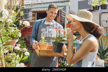 Gardening, flowers and smelling with a black couple working together in a garden or plant nursery as a florist team. Spring, nature and scent with a Stock Photo
