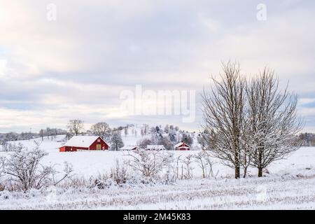 Wintery landscape view in the countryside Stock Photo