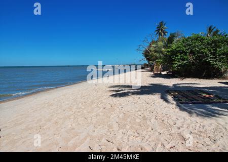 Beach of Carabane island, Casamance river, Ziguinchor Region, Senegal, West Africa Stock Photo