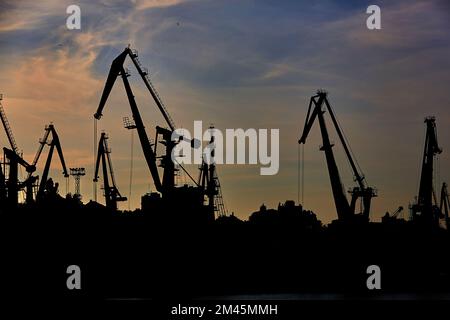 Harbor cranes in backlight. Port cranes at industrial sea port Stock Photo