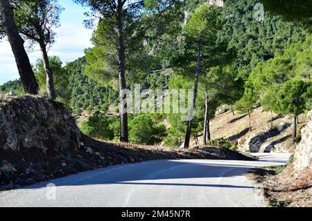 Winding mountain road through the forests of Spain Stock Photo