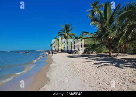 Beach of Carabane island, Casamance river, Ziguinchor Region, Senegal, West Africa Stock Photo