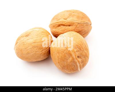 Close-up of three whole walnuts isolated on white, side view Stock Photo