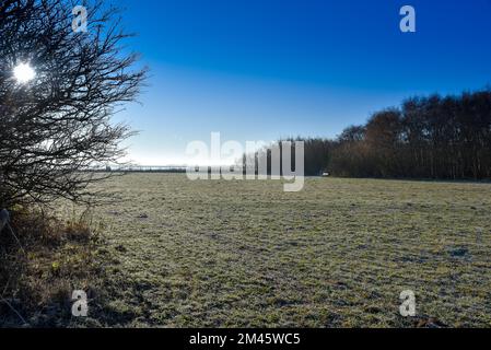 Den Helder, Netherlands. December 2022. Dutch winter landscape with frost. High quality photo Stock Photo