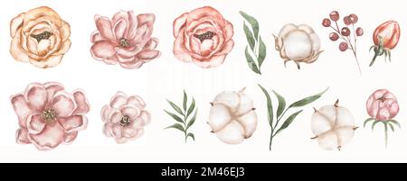 Watercolor peony, cotton and greenery elements set clipart, delicate flowers illustration in vintage style, pink and yellow rose flower, berries clip Stock Photo