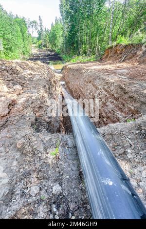 Laying a plastic gas pipeline pipe in a trench in the summer. Gas pipeline is installed under the ground Stock Photo