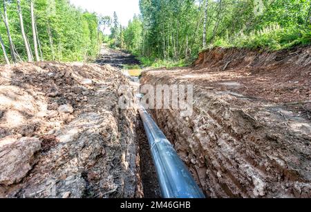 Laying a plastic gas pipeline pipe in a trench in the summer. Gas pipeline is installed under the ground Stock Photo