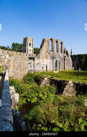 Rievaulx Abbey church ruins. North Yorkshire, England Stock Photo