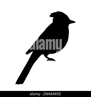 Blue jay bird silhouette logo design vector illustration Stock Vector Image  & Art - Alamy