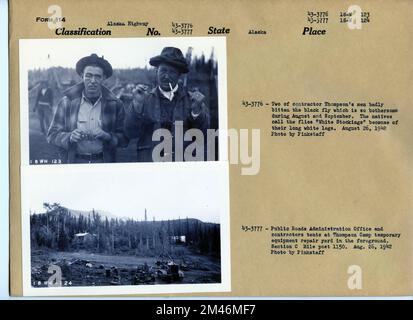 Thompson Company Men and Camps. Original caption: 43-3776: Two of contractor Thompson's men badly bitten by the balck fly which is so bothersome during August and September. The natives call the flies "White Stockings" because of their long white legs. Original caption: 43-3777: Public Roads Administration Office and contractors tents at Thompson Camp temporary equipment repair yard in the foreground. Section C Mile post 1150. Aug. 26, 1942. Photos by Pinkstaff. State: Alaska. Stock Photo