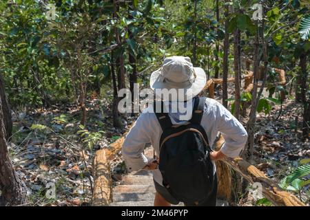 Rear view of backpack female geologist exploring nature trail in forest and analyzing plants. Female environmental scientist exploring plants in the r Stock Photo