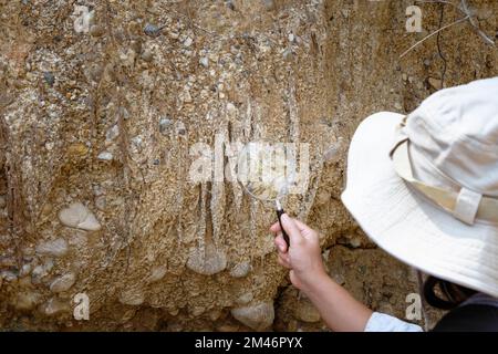 Female geologist using a magnifying glass examines nature, analyzing ...