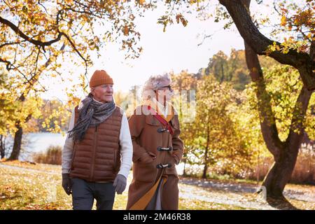 Senior couple walking in autumn park Stock Photo