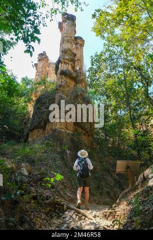 Female geologist with backpack exploring nature trail in forest and analyzing rock or gravel. Researchers collect samples of biological materials. Env Stock Photo