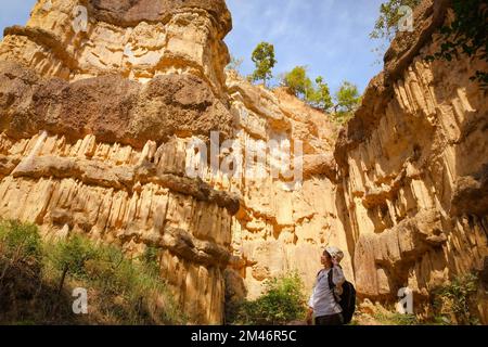 Female geologist with backpack exploring nature trail in forest and analyzing rock or gravel. Researchers collect samples of biological materials. Env Stock Photo