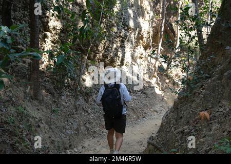 Female geologist with backpack exploring nature trail in forest and analyzing rock or gravel. Researchers collect samples of biological materials. Env Stock Photo