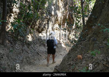 Female geologist with backpack exploring nature trail in forest and analyzing rock or gravel. Researchers collect samples of biological materials. Env Stock Photo