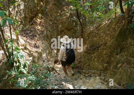 Female geologist with backpack exploring nature trail in forest and analyzing rock or gravel. Researchers collect samples of biological materials. Env Stock Photo