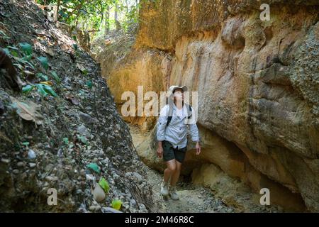 Female geologist with backpack exploring nature trail in forest and analyzing rock or gravel. Researchers collect samples of biological materials. Env Stock Photo