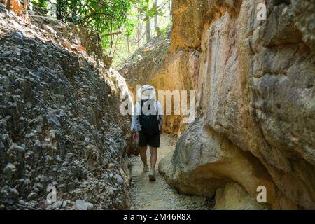 Female geologist with backpack exploring nature trail in forest and analyzing rock or gravel. Researchers collect samples of biological materials. Env Stock Photo