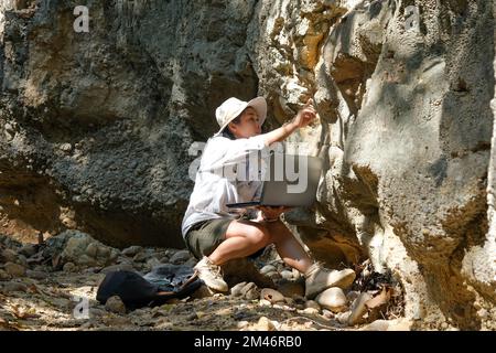 Female geologist using laptop computer examining nature, analyzing rocks or pebbles. Researchers collect samples of biological materials. Environmenta Stock Photo