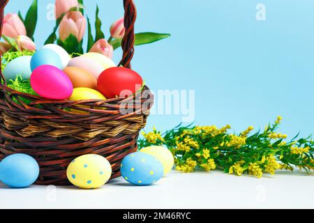 Basket with Easter eggs flowers tulips flowering branches on the table Stock Photo