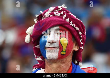 Lusail City, Qatar. 18th Dec, 2022. A France fan looks on during the 2022 FIFA World Cup Final at Lusail Stadium in Lusail City, Qatar on December 18, 2022. Photo by Chris Brunskill/UPI Credit: UPI/Alamy Live News Stock Photo