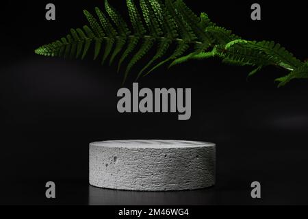 Cylindrical concrete stone gray podium on black background with reflection and tropical fern leaves. Minimal empty cosmetic product presentation scene Stock Photo
