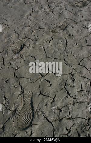 Footprints Shoeprints in the Wet Cement Stock Photo