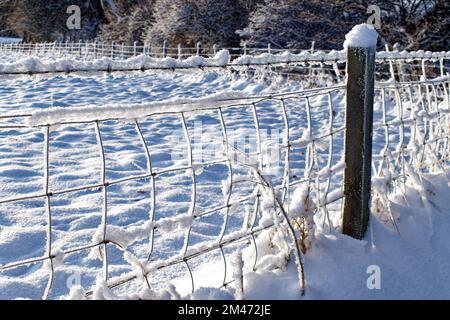 Winter light and deep snow on a field and the barbed wire fence Stock Photo