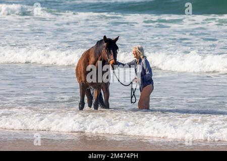 Europe, Portugal, Centro Region, Ferrel, Older Woman working her Lucitano Horse on the Beach at Praia da Almagreira Stock Photo