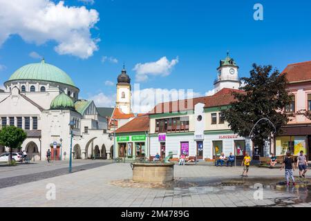 Trencin (Trentschin): Synagogue, Church and monastery of Piarists,, Dolná brána (Lower Gate), square Sturovo namestie in , , Slovakia Stock Photo