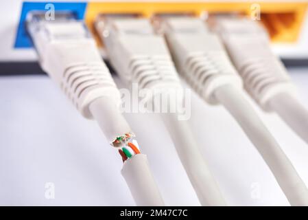 Cut Internet cables into the router, close-up. Stock Photo