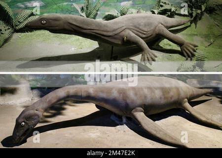 Realistic reconstruction of some dinosaur species Stock Photo