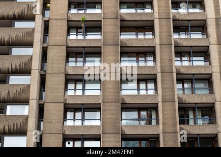 A lone palm tree on a balcony of Shakespeare Tower, one of the three 42 storey tower blocks which make up part of the Barbican estate. The Shakespeare Stock Photo