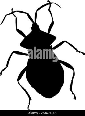 Silhouette of beetle. Beetle close-up detailed. Vector beetle icon on white background. Stock Vector