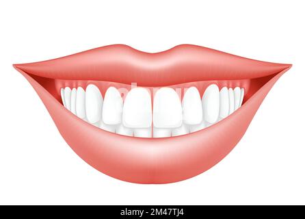 Smile makeover, woman lips and dentition, semiopen mouth with hollywood smile, dental clinic, vector Stock Vector