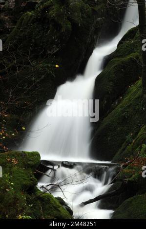 Stock Ghyll Force, Ambleside. Stock Photo