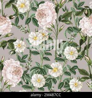 Seamless pattern with white roses. Vector. Stock Vector
