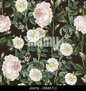 Seamless pattern with white roses. Vector. Stock Vector